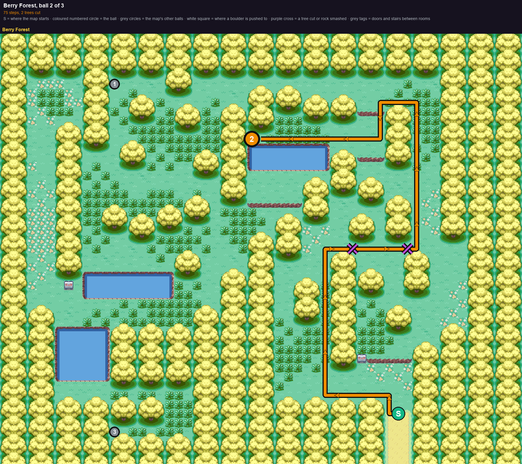 Berry Forest: the walk from its start to Poké Ball 2