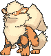 Arcanine